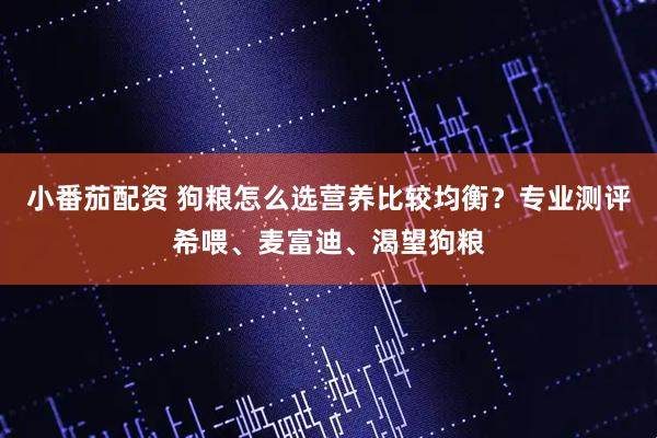 小番茄配资 狗粮怎么选营养比较均衡？专业测评希喂、麦富迪、渴望狗粮