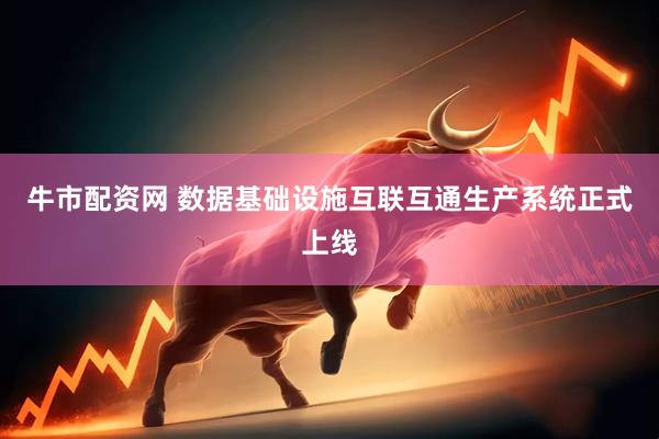 牛市配资网 数据基础设施互联互通生产系统正式上线